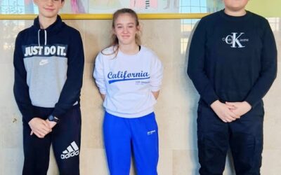 Županijsko natjecanje iz informatike