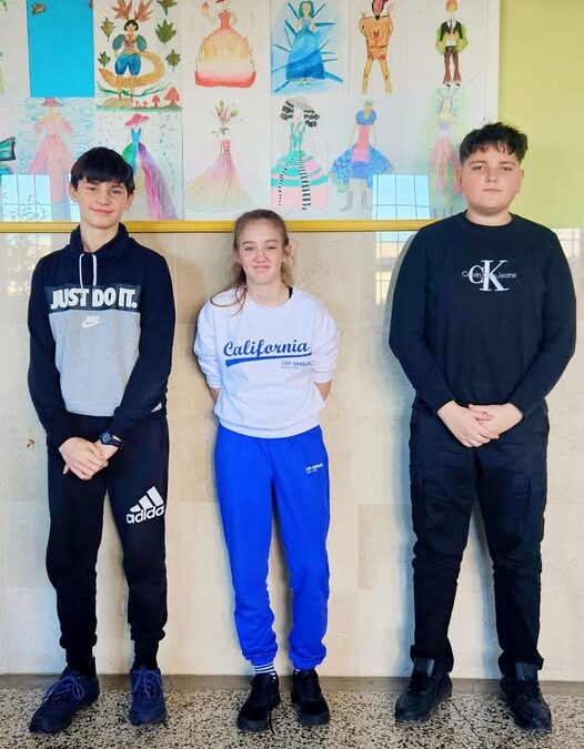 Županijsko natjecanje iz informatike